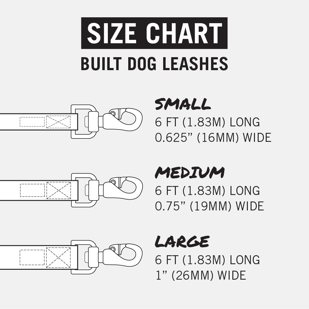 Nightsafe™ Dog Leash