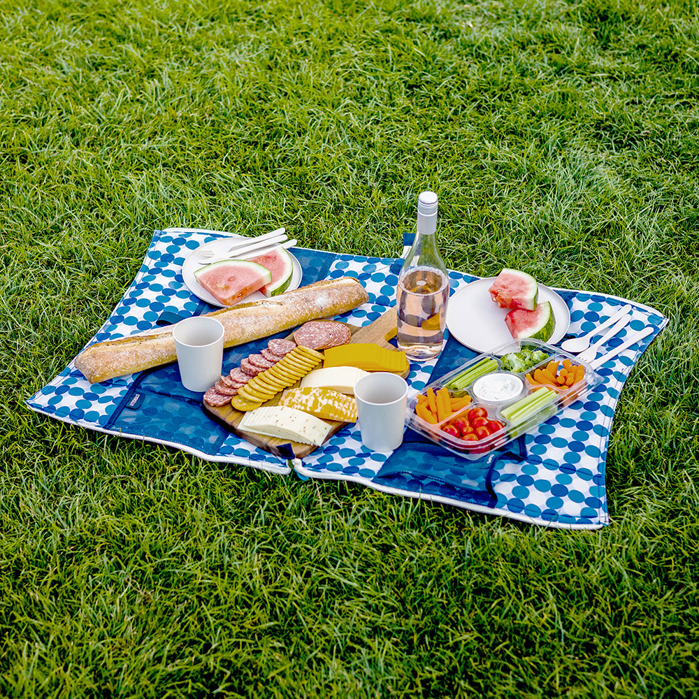 Convertible Picnic Tote