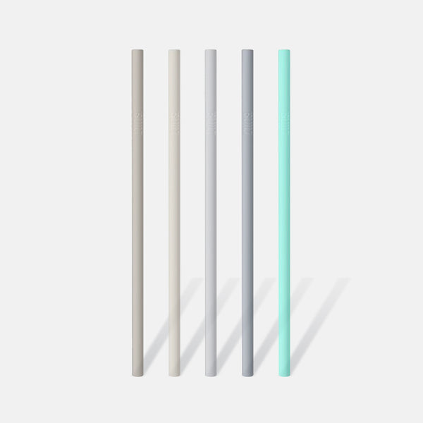 Silicone Straw set – Haven and Co